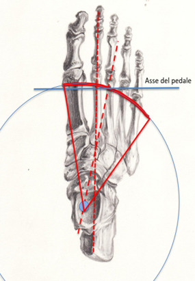 footbone